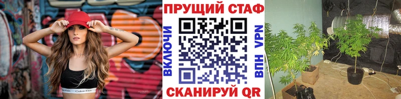 Конопля Дзержинск