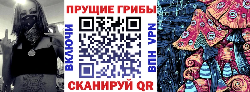 Галлюциногенные грибы Magic Shrooms Дзержинск