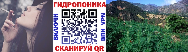 Канабис план  Купить закладки  Дзержинск 